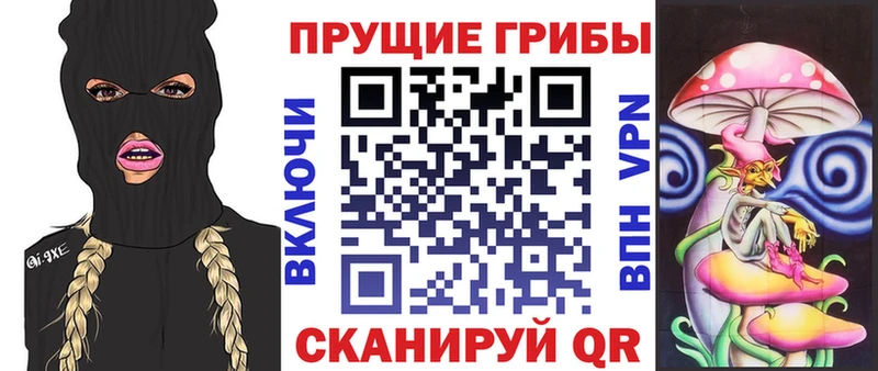 OMG ТОР  Дербент  Псилоцибиновые грибы мицелий 