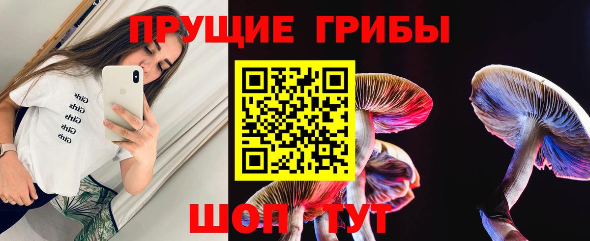 Галлюциногенные грибы GOLDEN TEACHER  Вход с VPN  Дербент 